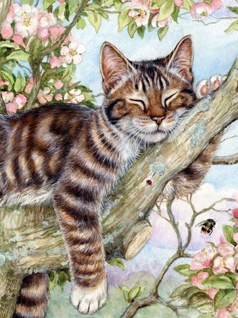 Художник Ирина Гармашова (Irina Garmashova)