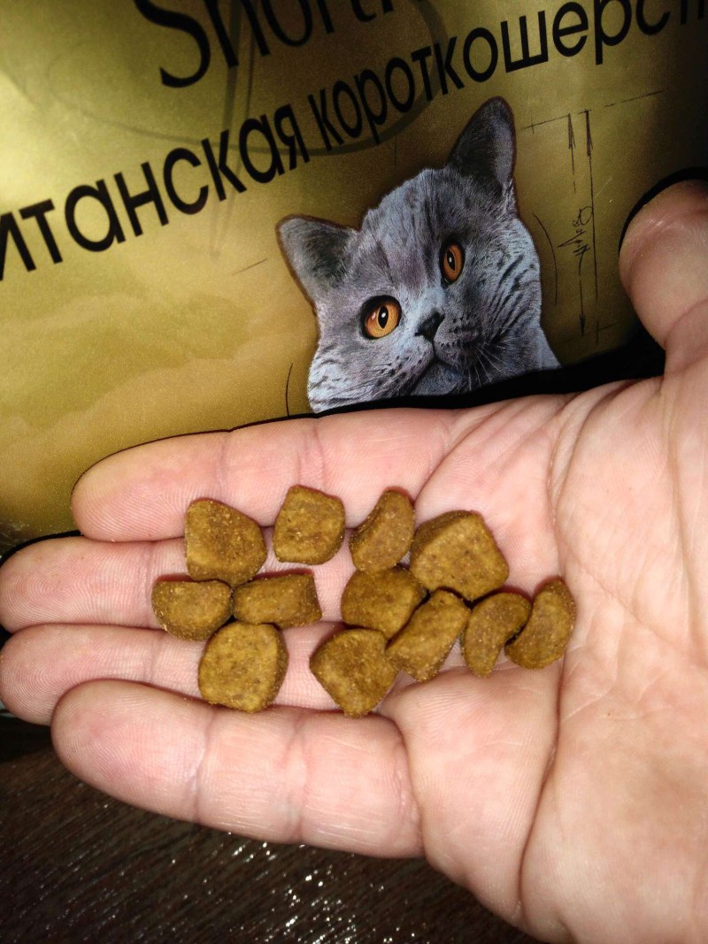 Брит каре корм для котят