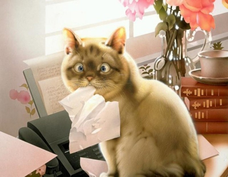 Шкодливый кот