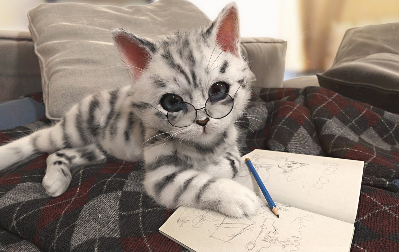 Кот пишет