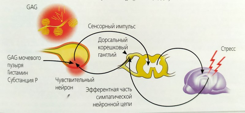 Стоп цистит с дротаверином для кошек