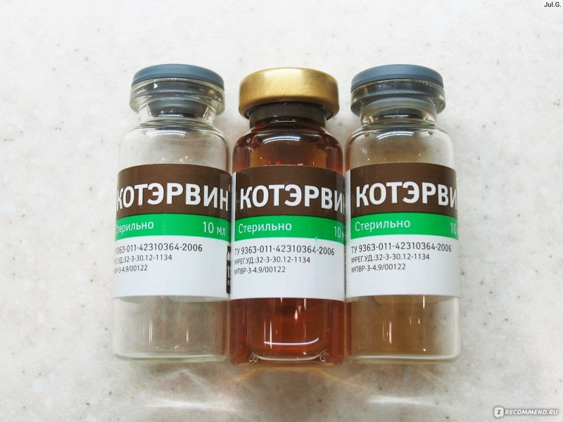Профилактика болезней кошек