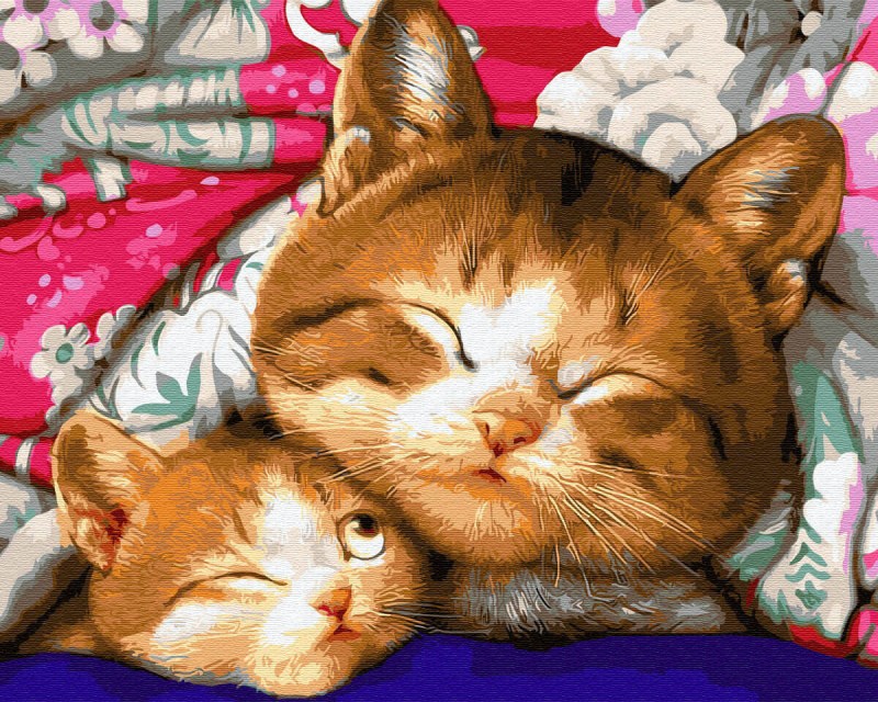 Коты Макото Мурамацу
