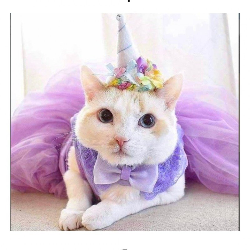 Кошечка Единорожка
