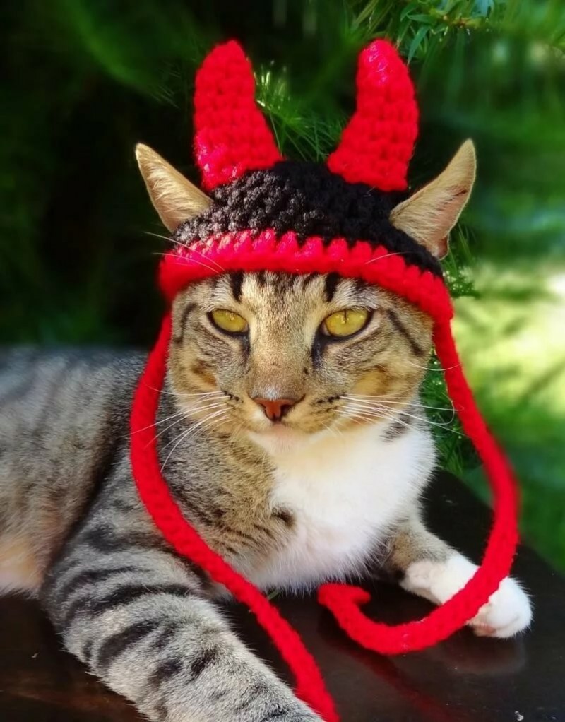 Шапка 'кошка'
