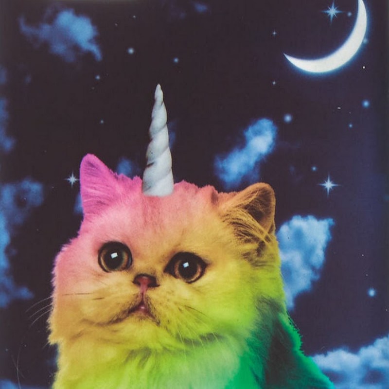 Кот Единорог