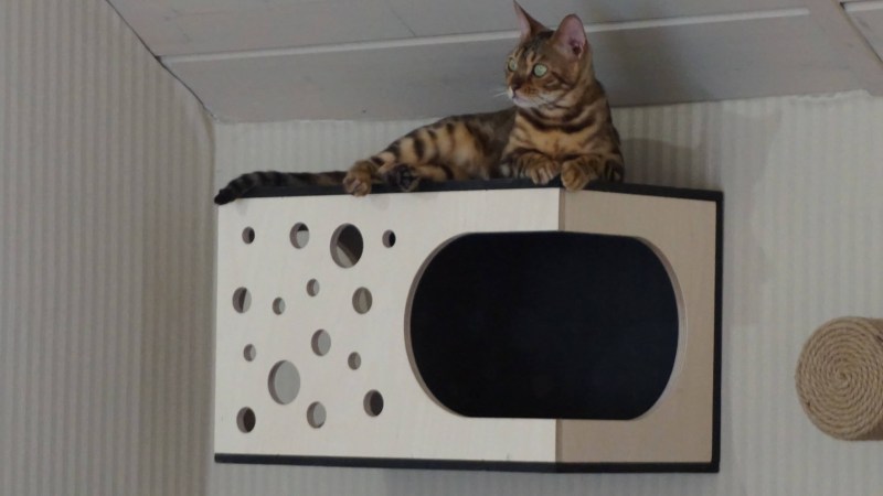 Домик для кошки из коробки