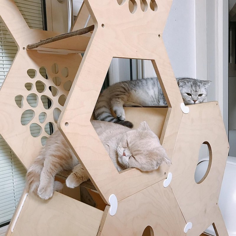 Домик для кошек Triol "Кошкин дом"