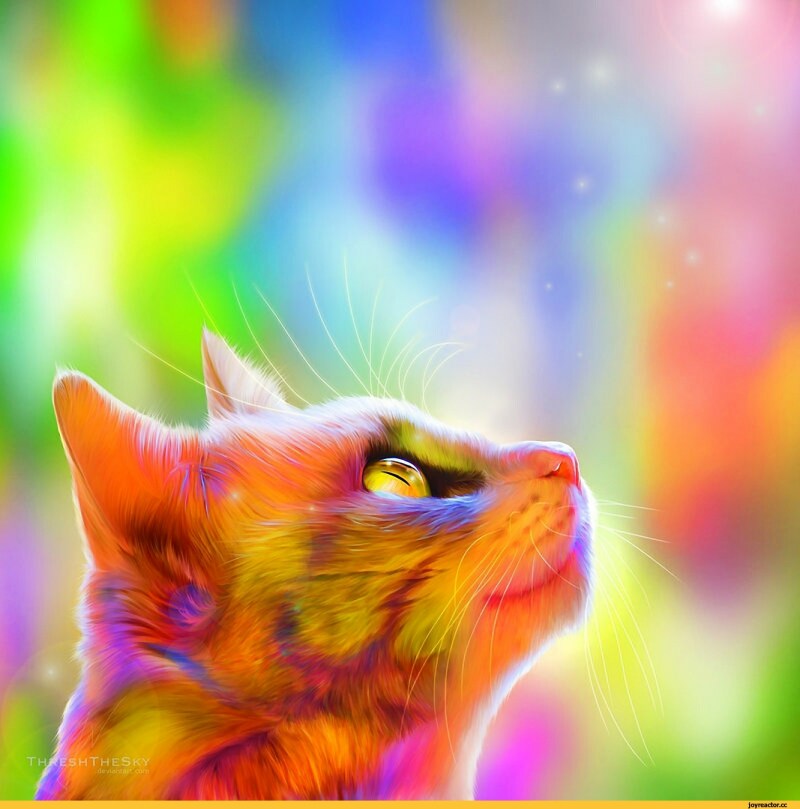 Радужные котята