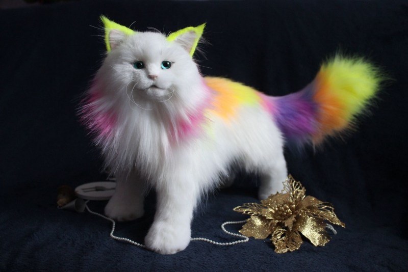 Радужные кошки