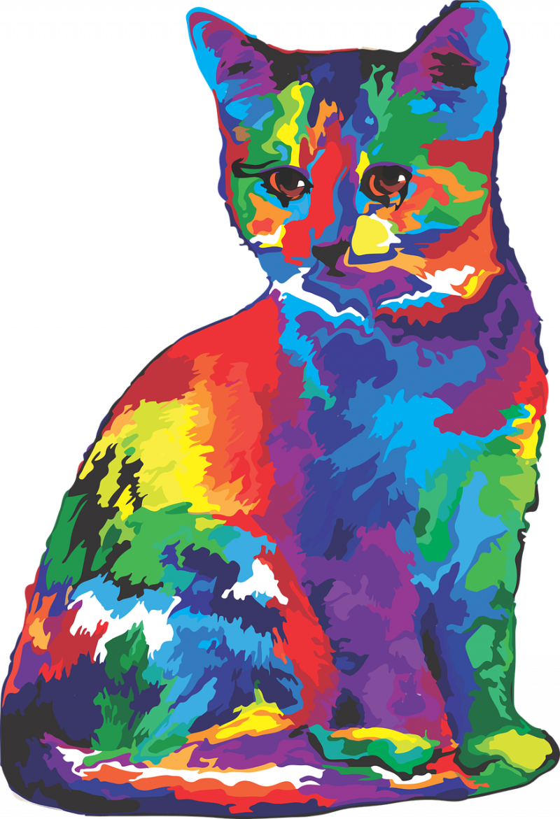 Радужный кот