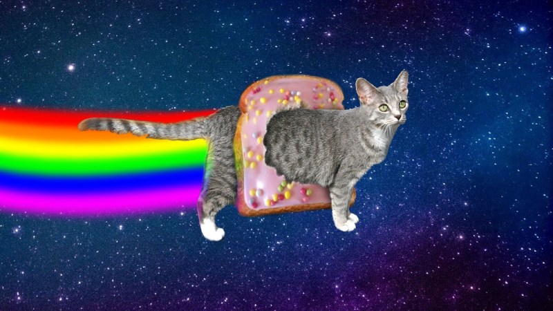 Ким Хаскинс (Kim Haskins) коты
