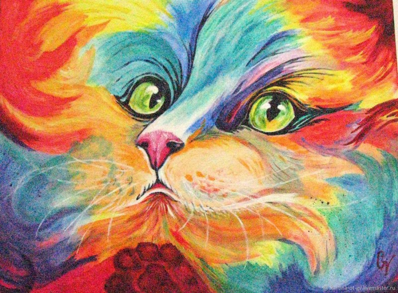 Радужный кот Мем