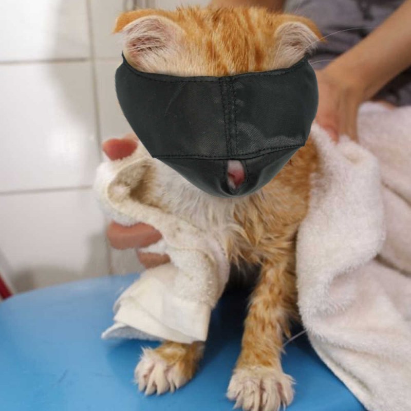 Пластиковый воротник для кошки