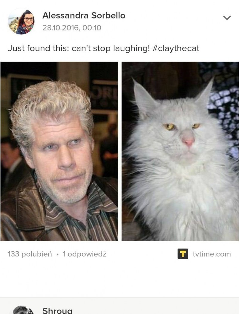 Коты похожие на актеров