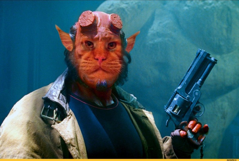 Ron Perlman Cat