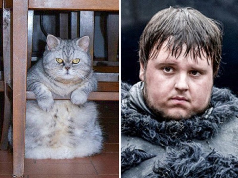 Очки Джейми Хайнеман