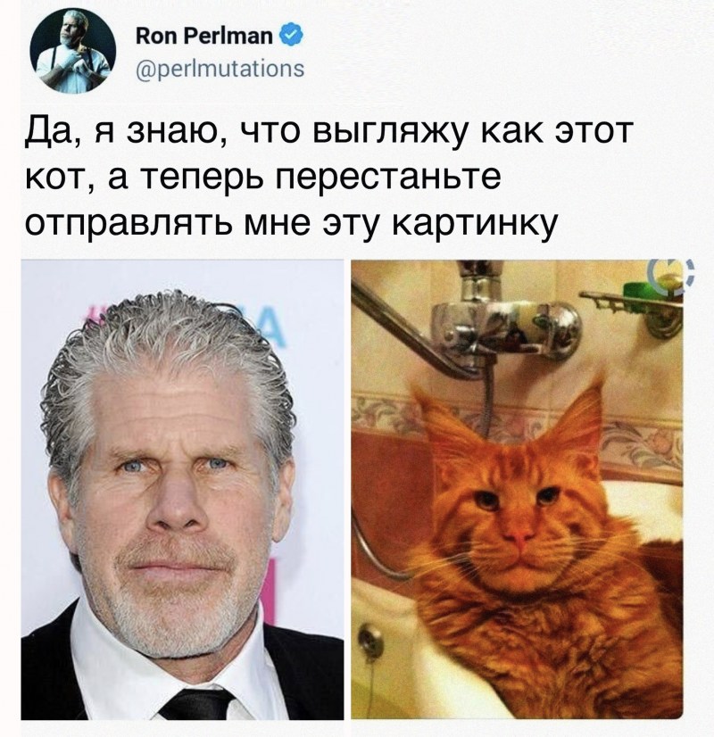 Мейн кун похож на актера Рон Перлман