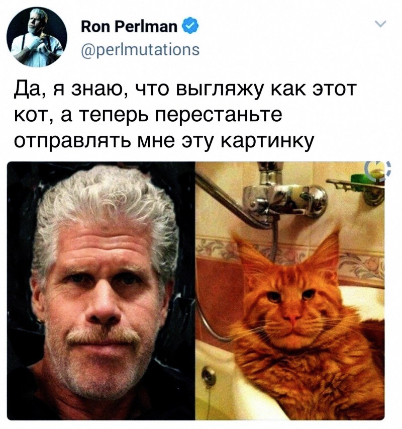 Рон Перлман кот