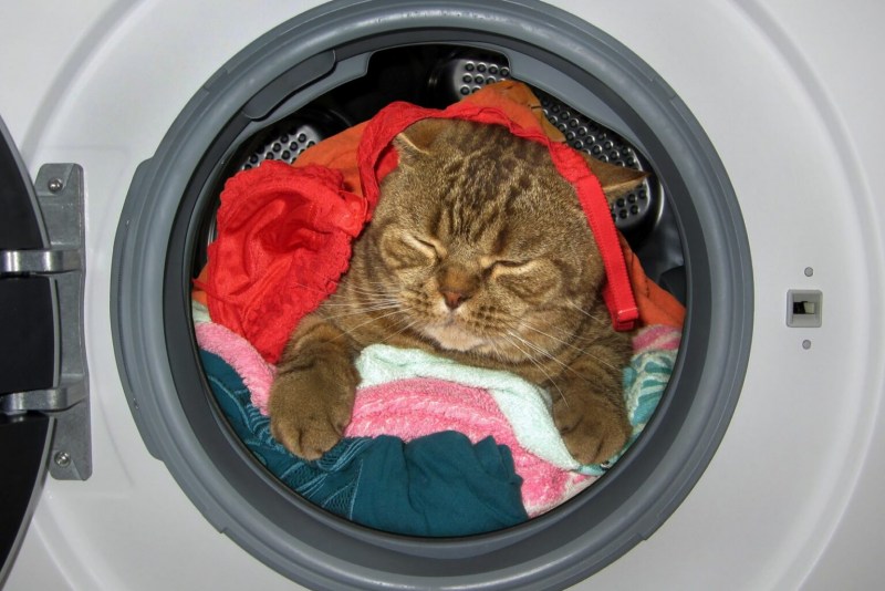 Котик и стиральная машинка