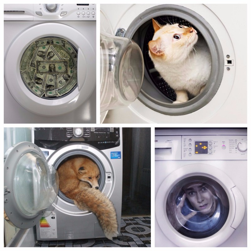 Стиральная машинка гиф кот