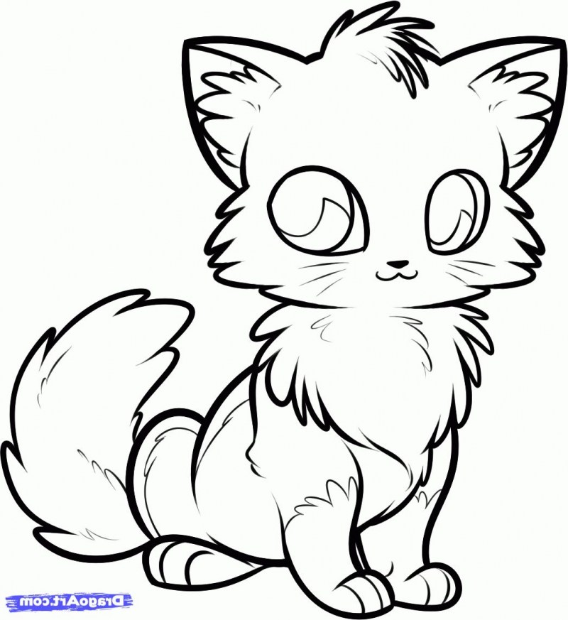 Раскраска. Котики