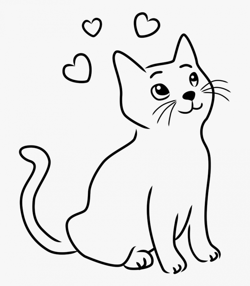 Рисунок кота для рисовки