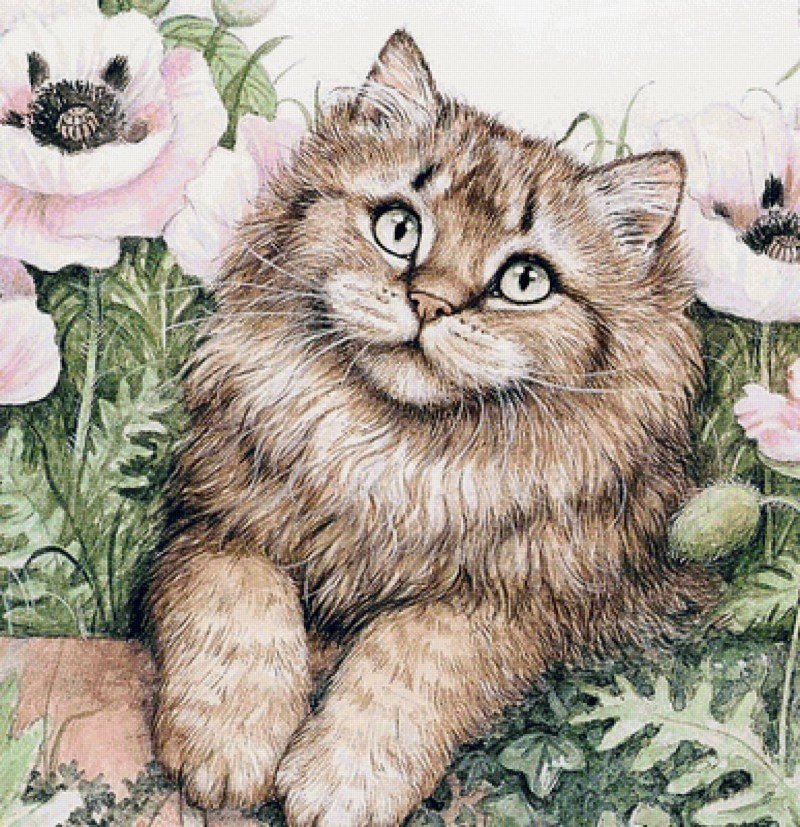Коты Дебби Кук