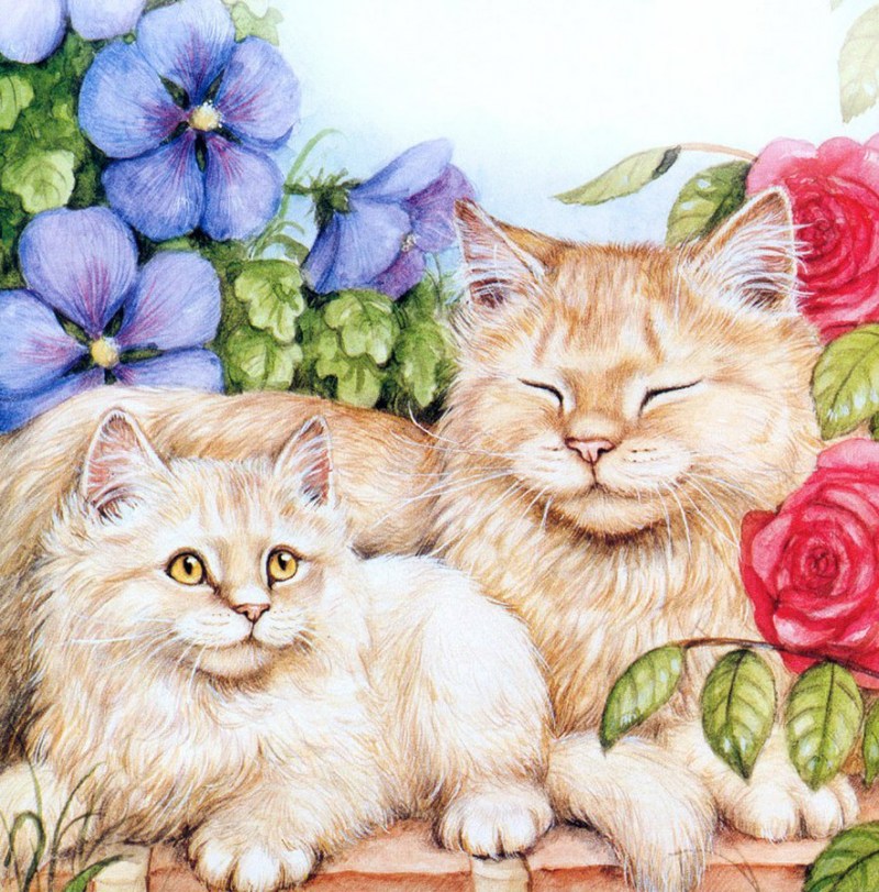 Художник Дебби Кук