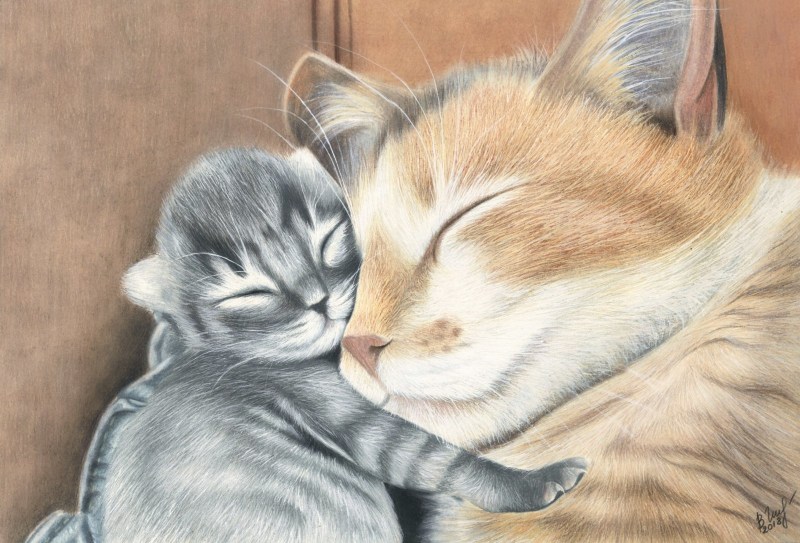 Кошка с котятами рисунок