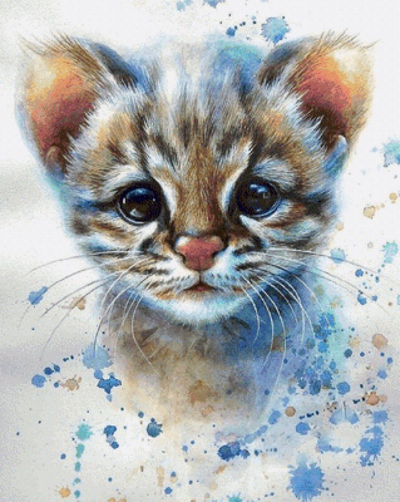 Кот акварельными карандашами