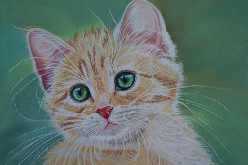 Рисунки котов