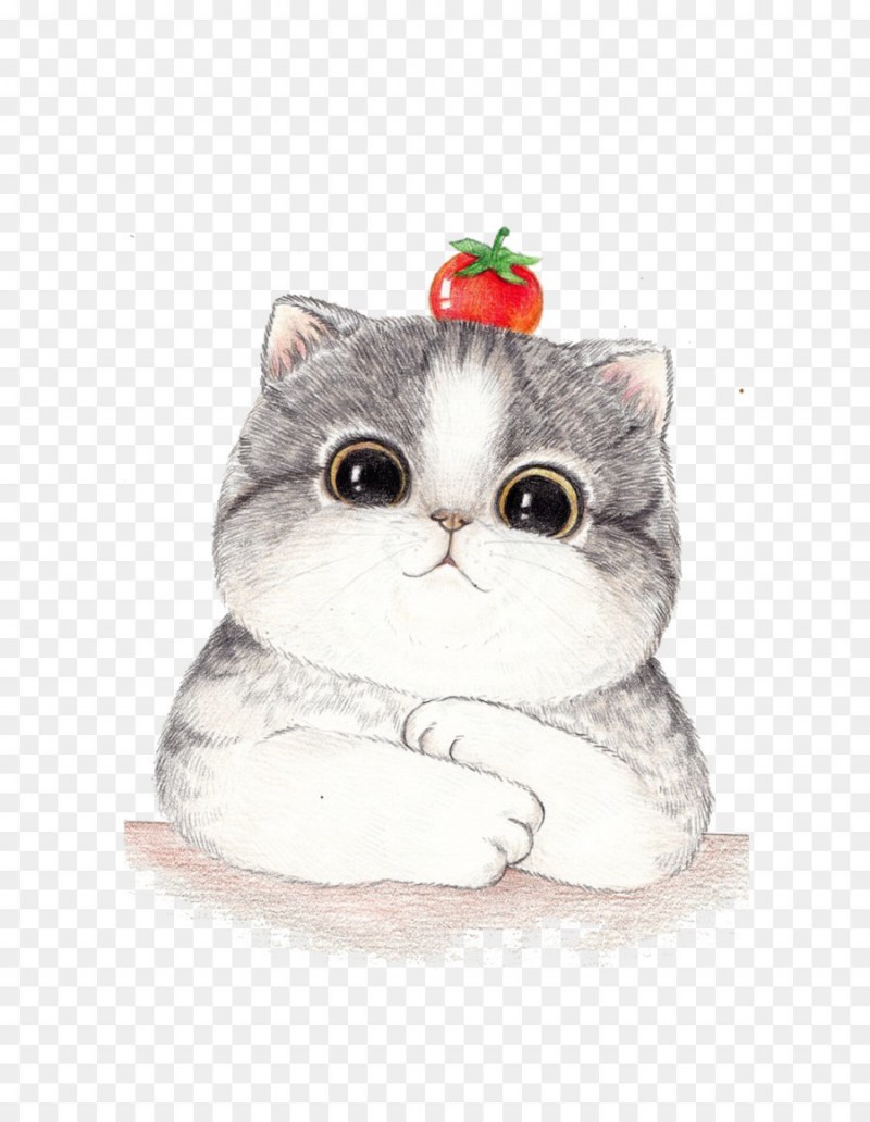 Милый котик рисунок