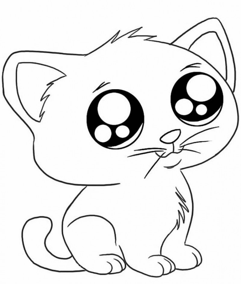 Раскраски маленькие котята