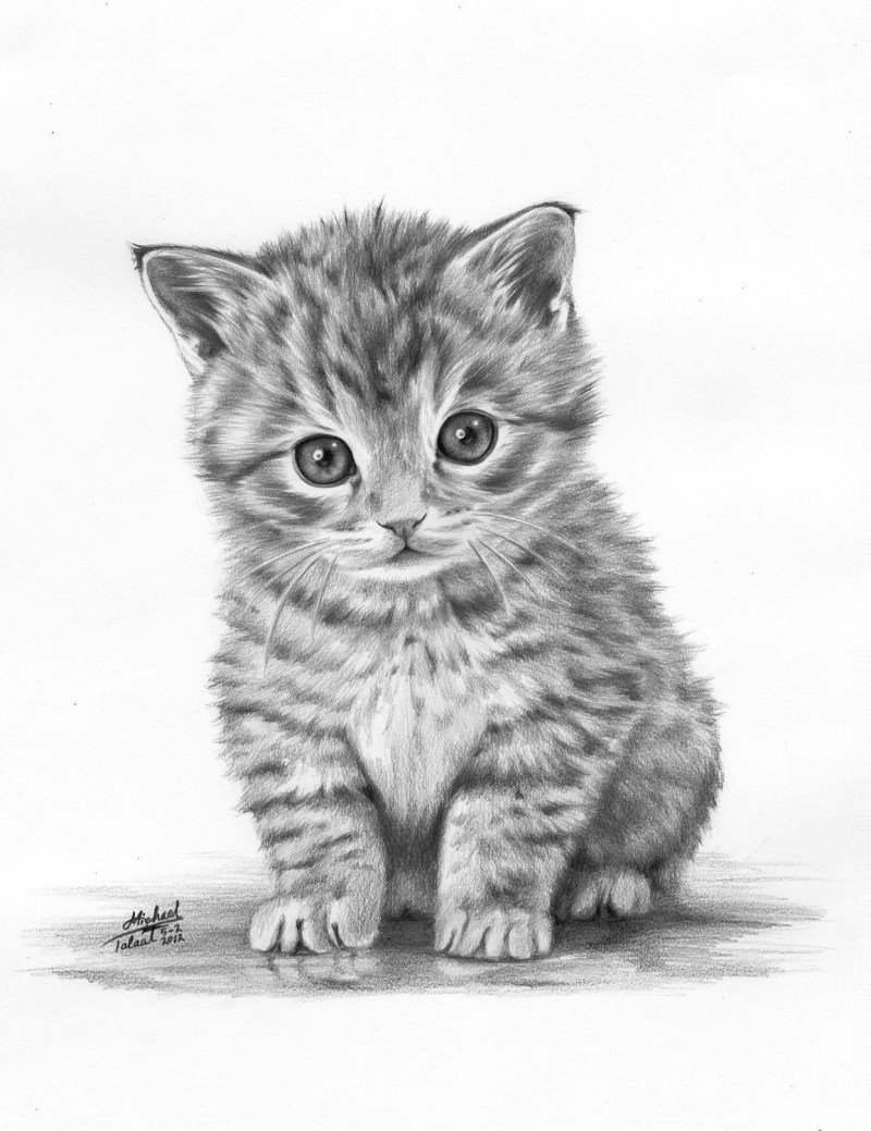 Котик карандашом