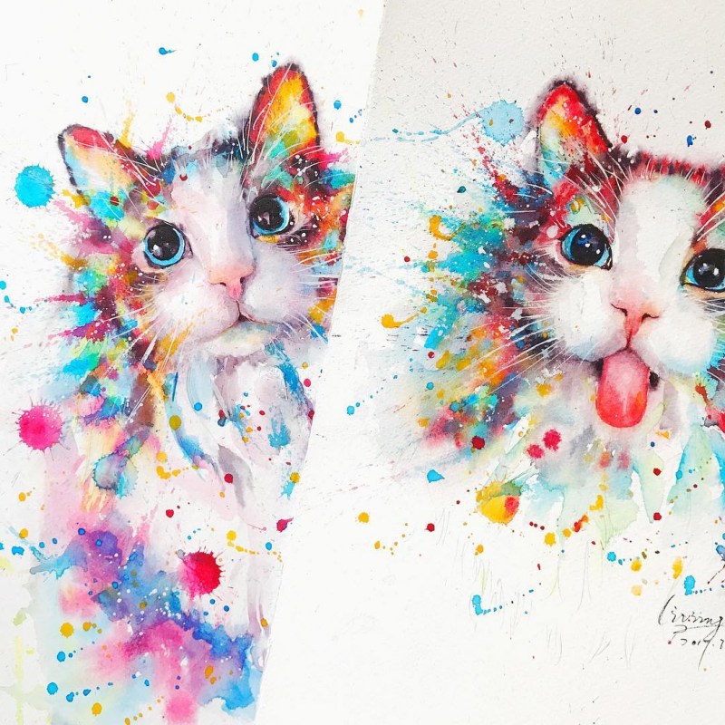 Разноцветная кошка