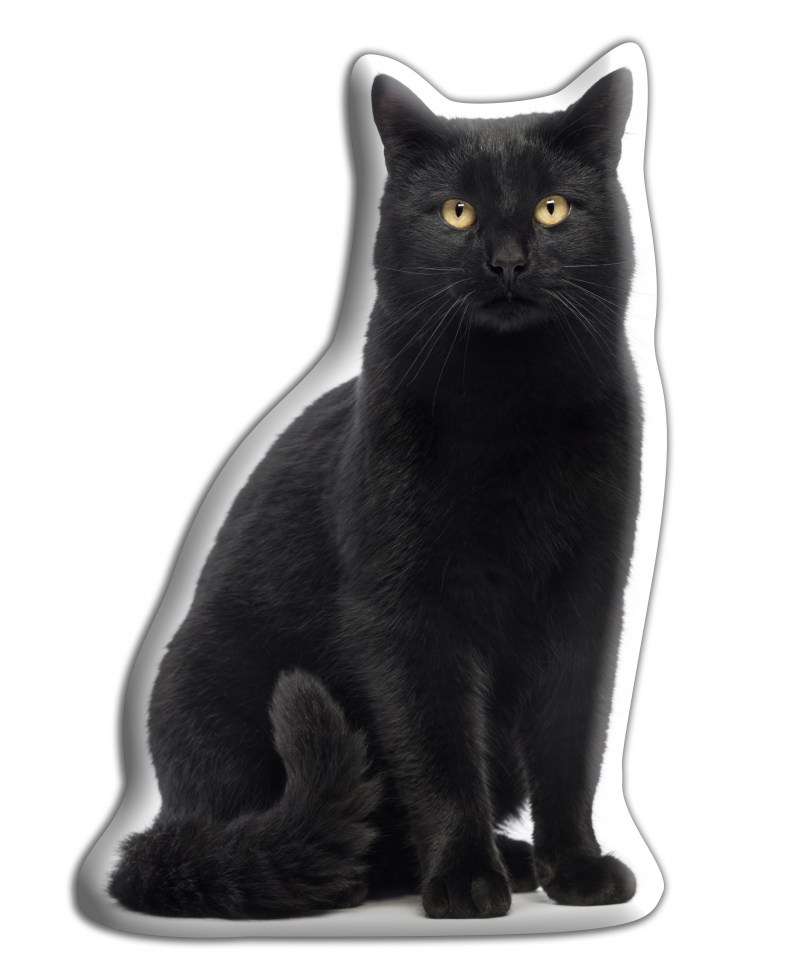 Сидячая чёрная кошка