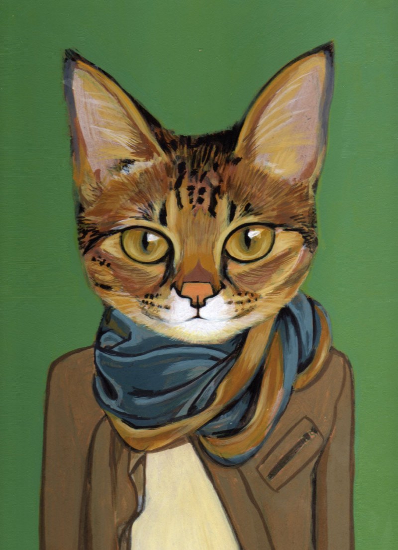 Аватар кот