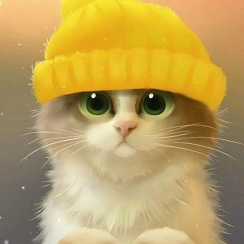 Милый котик в шапочке