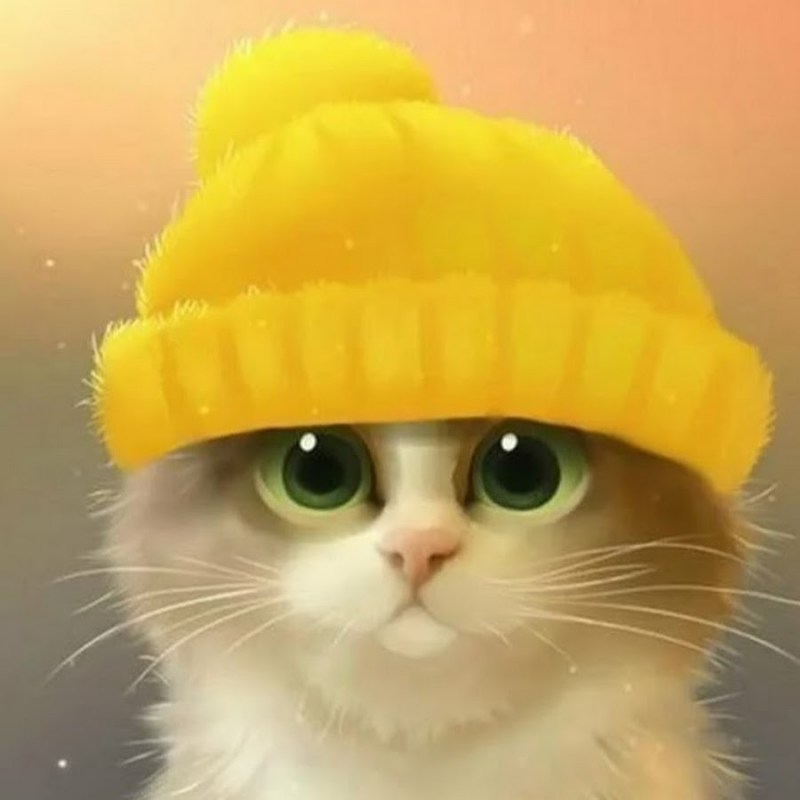 Милый котик в шапочке