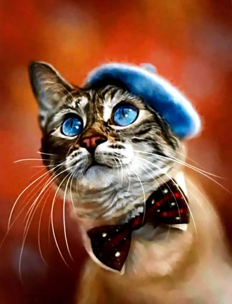Крутые котики