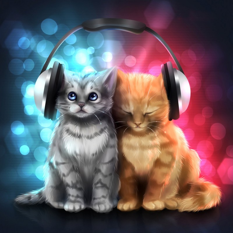 Аниме кошки животные