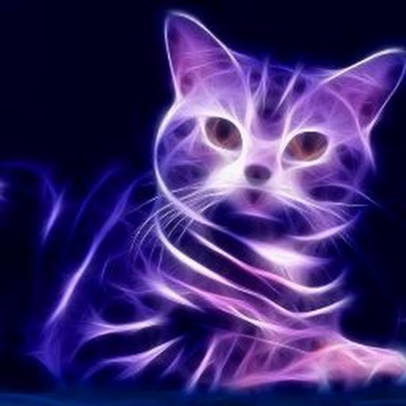 Неоновая кошка