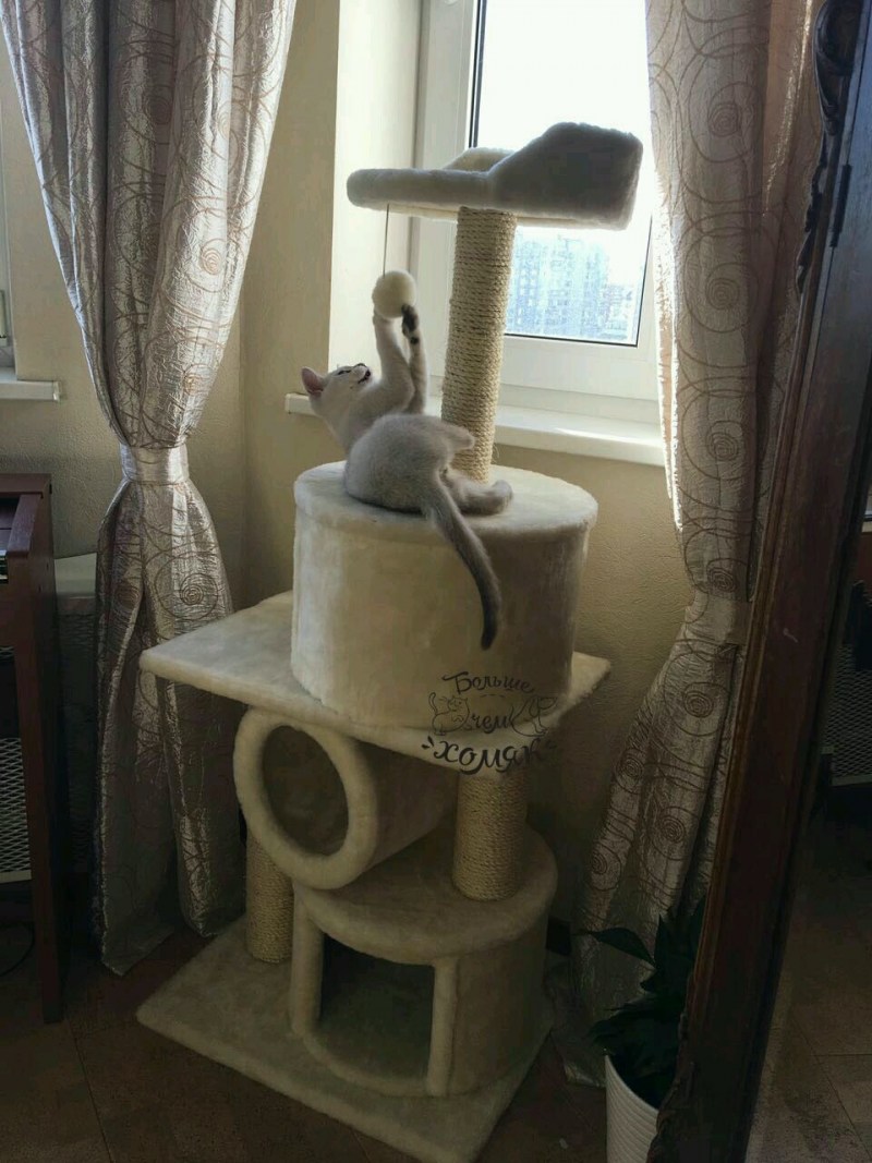 Когтеточка для кошек из джута