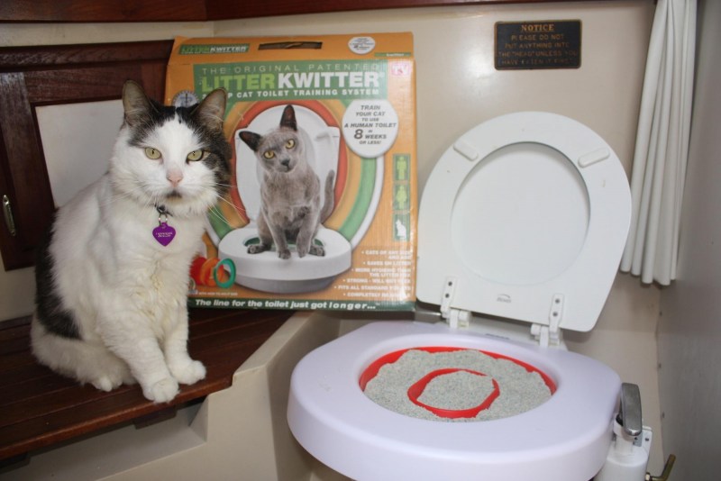 Система приучения кошек к унитазу "Litter Kwitter"