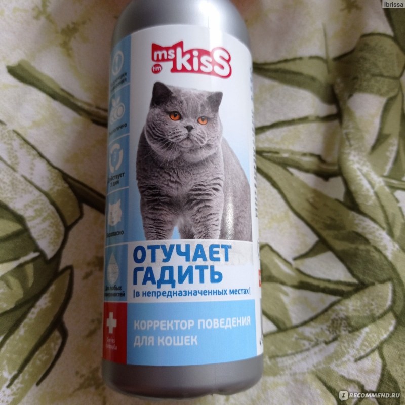 Кошка гадит, поможет ли лоток с крышей