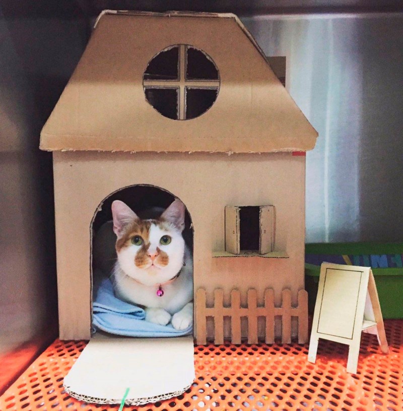 Домик из картона для кошек Tommy Cat