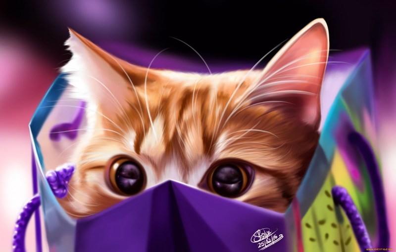 Аватарки кошки