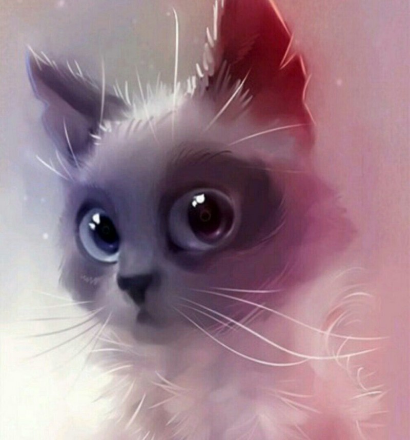 Рихард Донскис