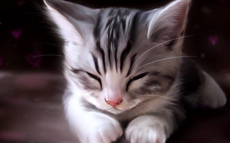 Котята аниме
